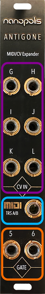 antigone expander front.png
